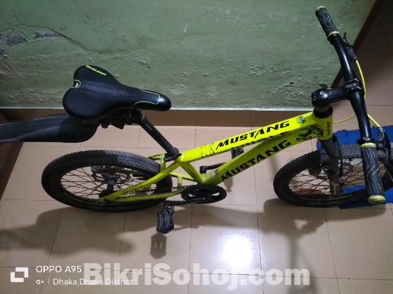 বাইসাইকেল